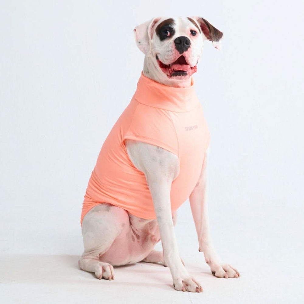 Sunblock Dog T-Shirt - Peach – SPARK PAWS