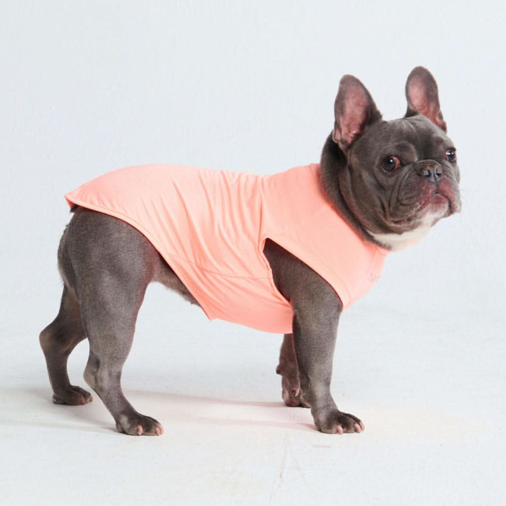 Sunblock Dog T-Shirt - Peach – SPARK PAWS