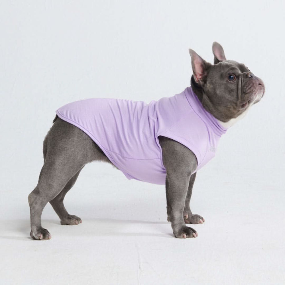 Sunblock Dog T-Shirt - Purple – SPARK PAWS