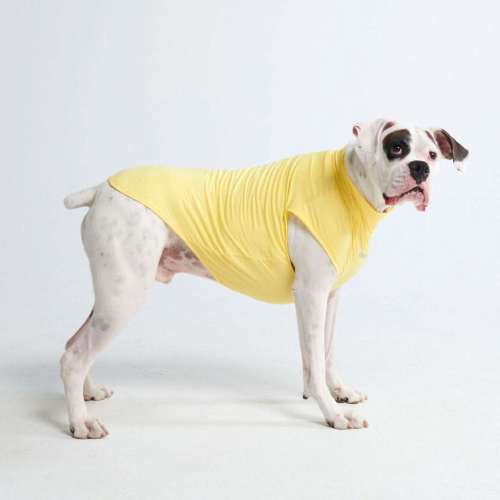 Sunblock Dog T-Shirt - Yellow – SPARK PAWS