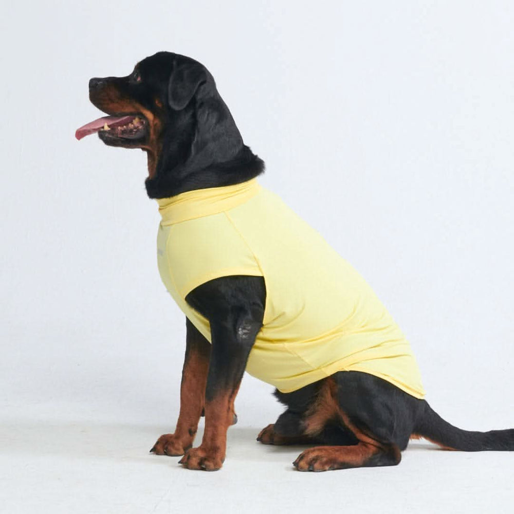 Sunblock Dog T-Shirt - Yellow – SPARK PAWS