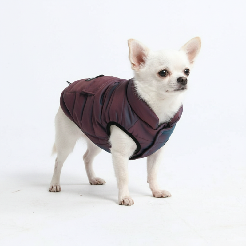 WarmShield Water-Resistant Jacket - Cosmic