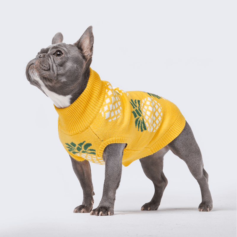 Pineapple dog sweater best sale