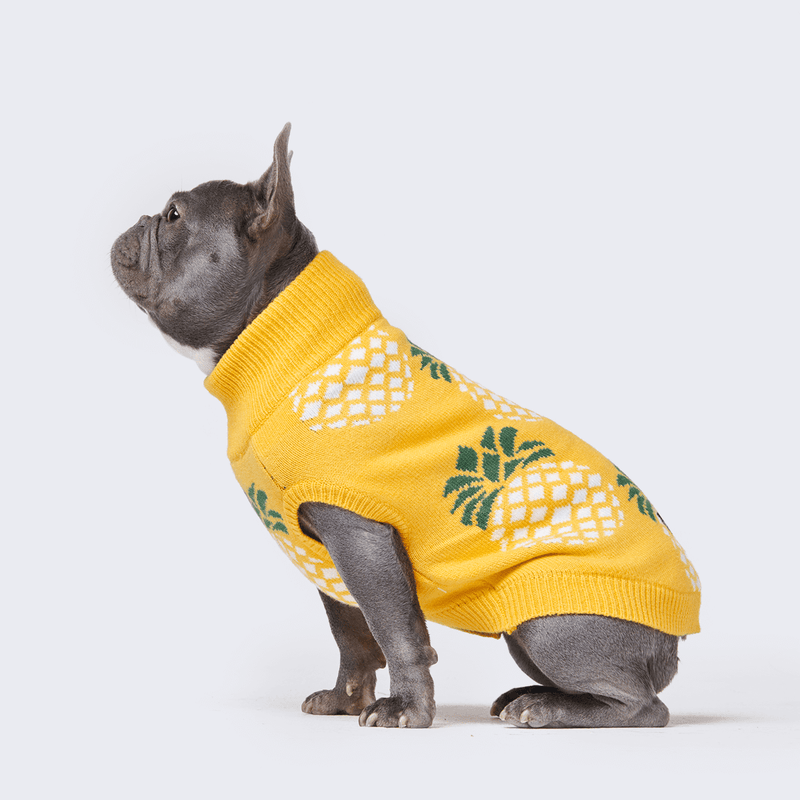 Pineapple sales dog sweater