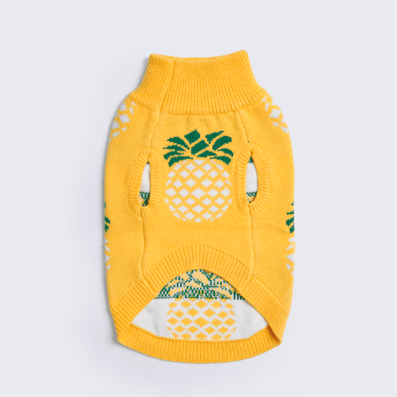 Pineapple dog sweater hot sale