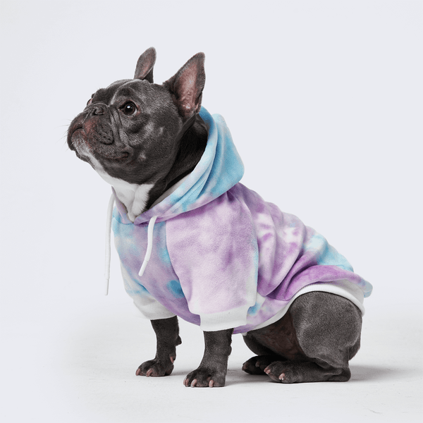 Louis Vuitton Dog Clothing 
