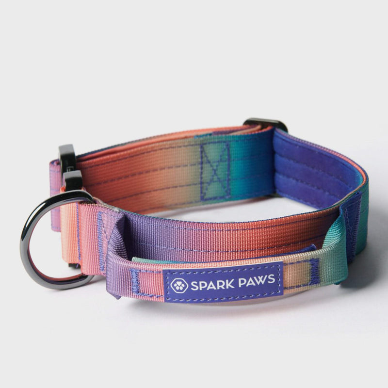 Tactical Dog Collar Set - Lilac (2/5cm) – SPARK PAWS