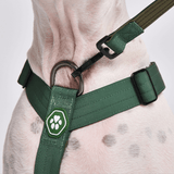 Comfort Control No-Pull Dog Harness Set - Army Green