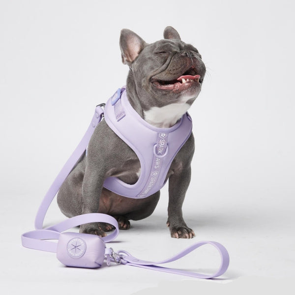 Ultra-Soft Activewear Harness Set - Lilac