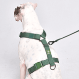 Comfort Control No-Pull Dog Harness - Green