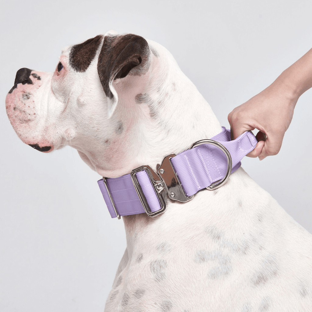 Comfort Control Collar Lilac SPARK PAWS