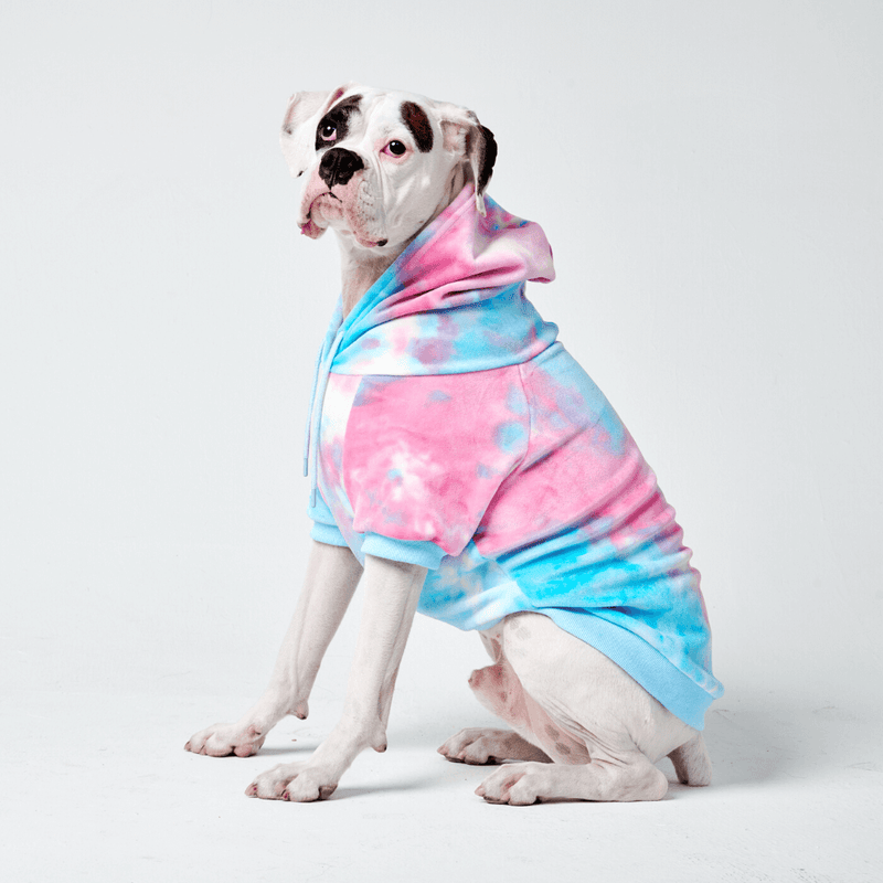 Kensie home dog clothes store