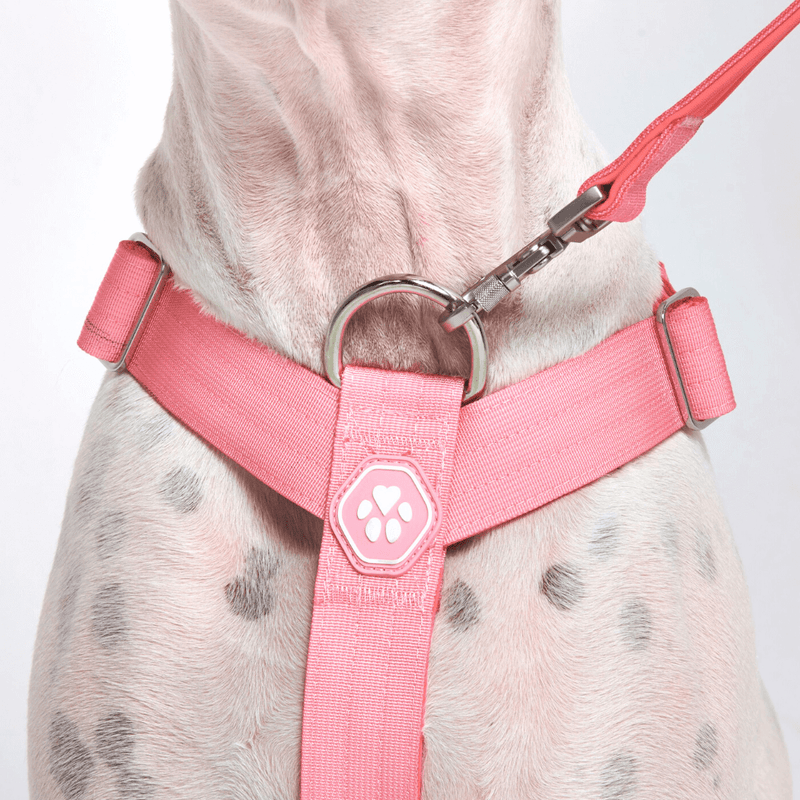 Comfort Control No-Pull Dog Harness - Pink