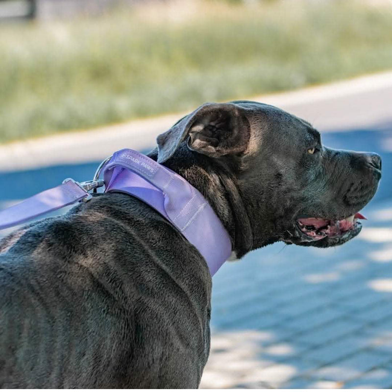 Tactical Dog Collar Set - Lilac