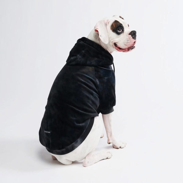 Spark Paws: Quality Dog Clothes, Collar, Harness & Accessories – SPARK PAWS