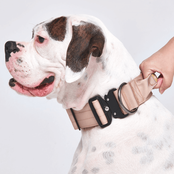 Tactical Dog Collar - Tan (2"/5cm)