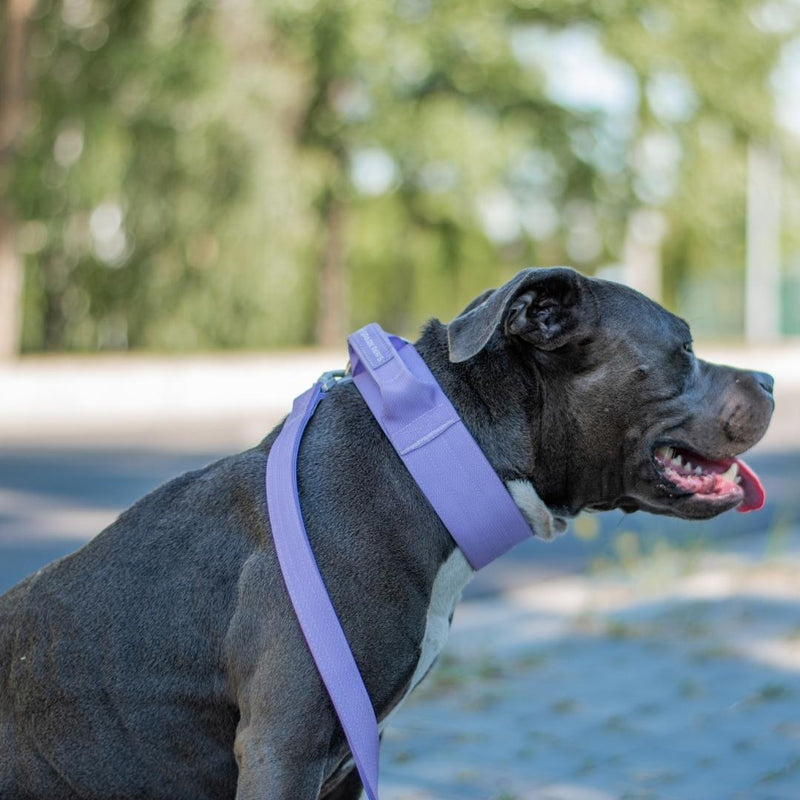 Tactical Dog Collar Set - Lilac