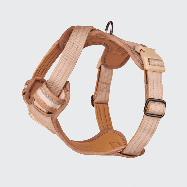 Comfort Control Harness - Tan- [SIZE S] dogs up to 20kg/45lb