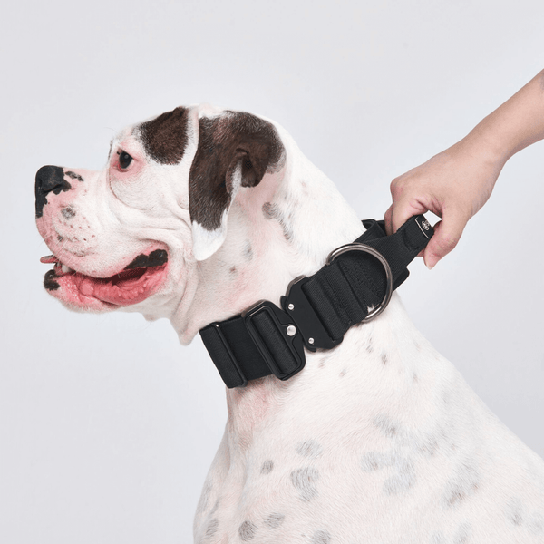 Tactical Dog Collars (2"/5cm)