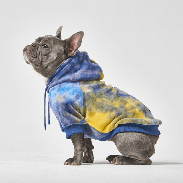 レビュー高評価のおせち贈り物 Velvet Dog Hoodie - Nova – SPARK PAWS トップス