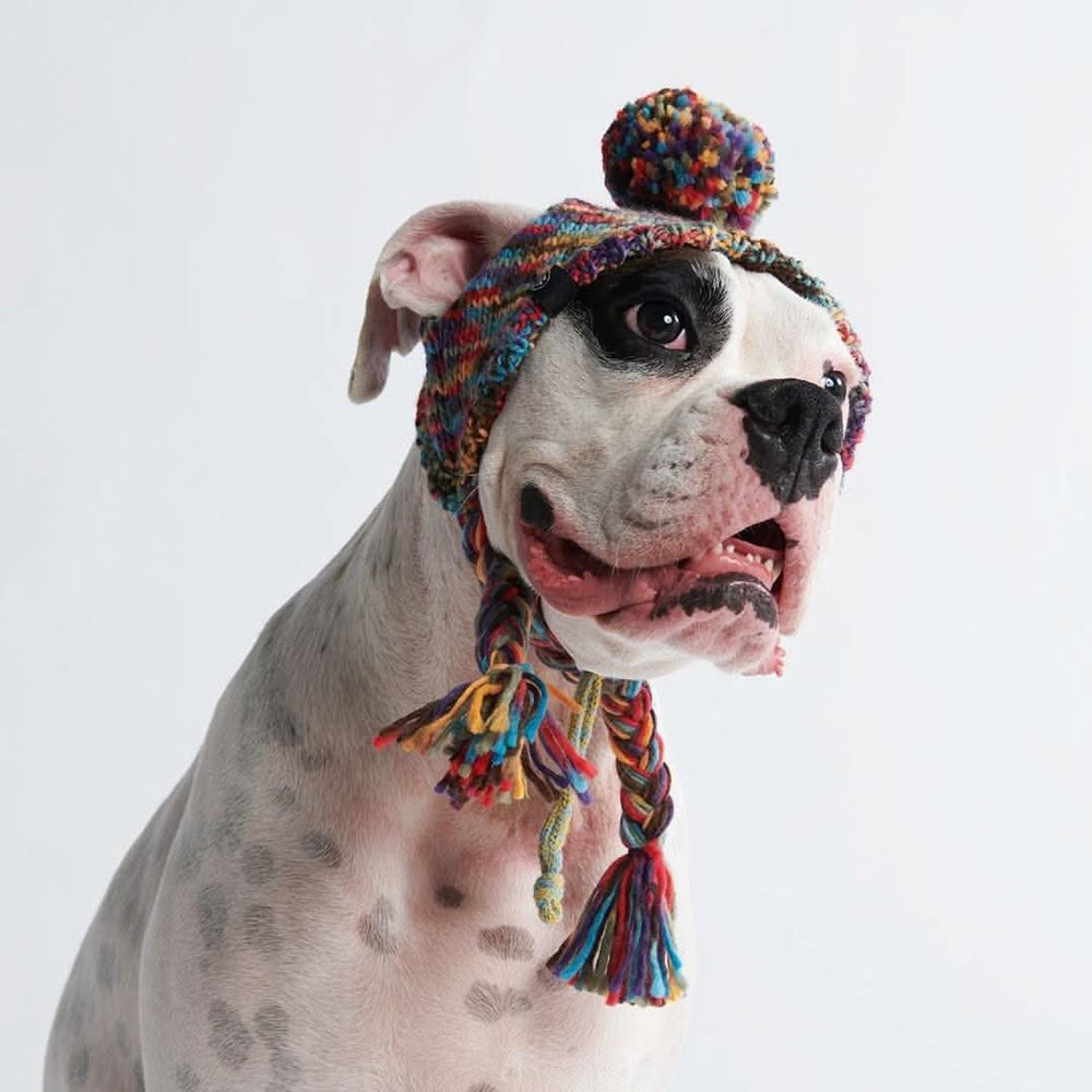 Knit Pom Pom Dog Beanie Hats – SPARK PAWS