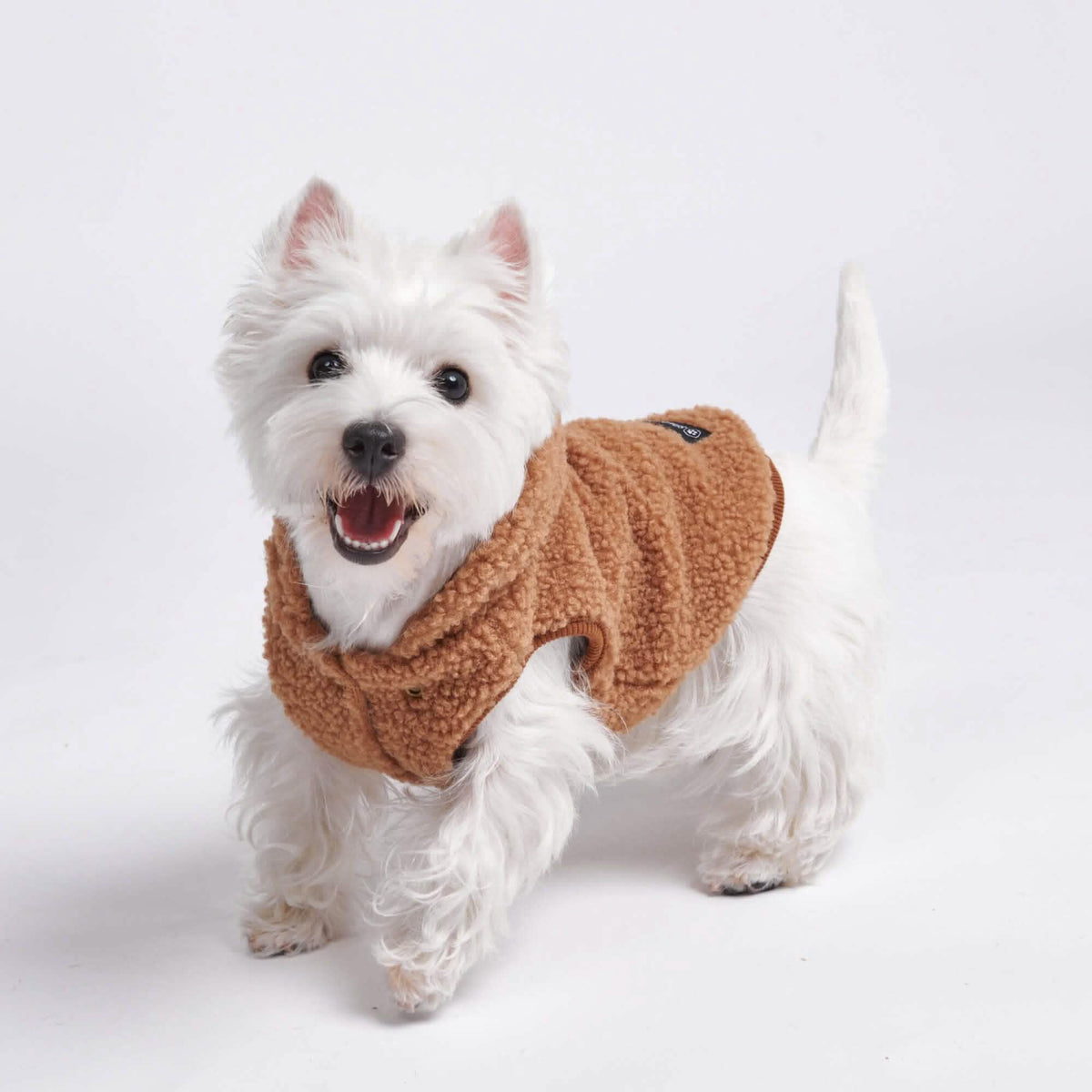 Teddy Sherpa Dog Jacket - Brown – SPARK PAWS