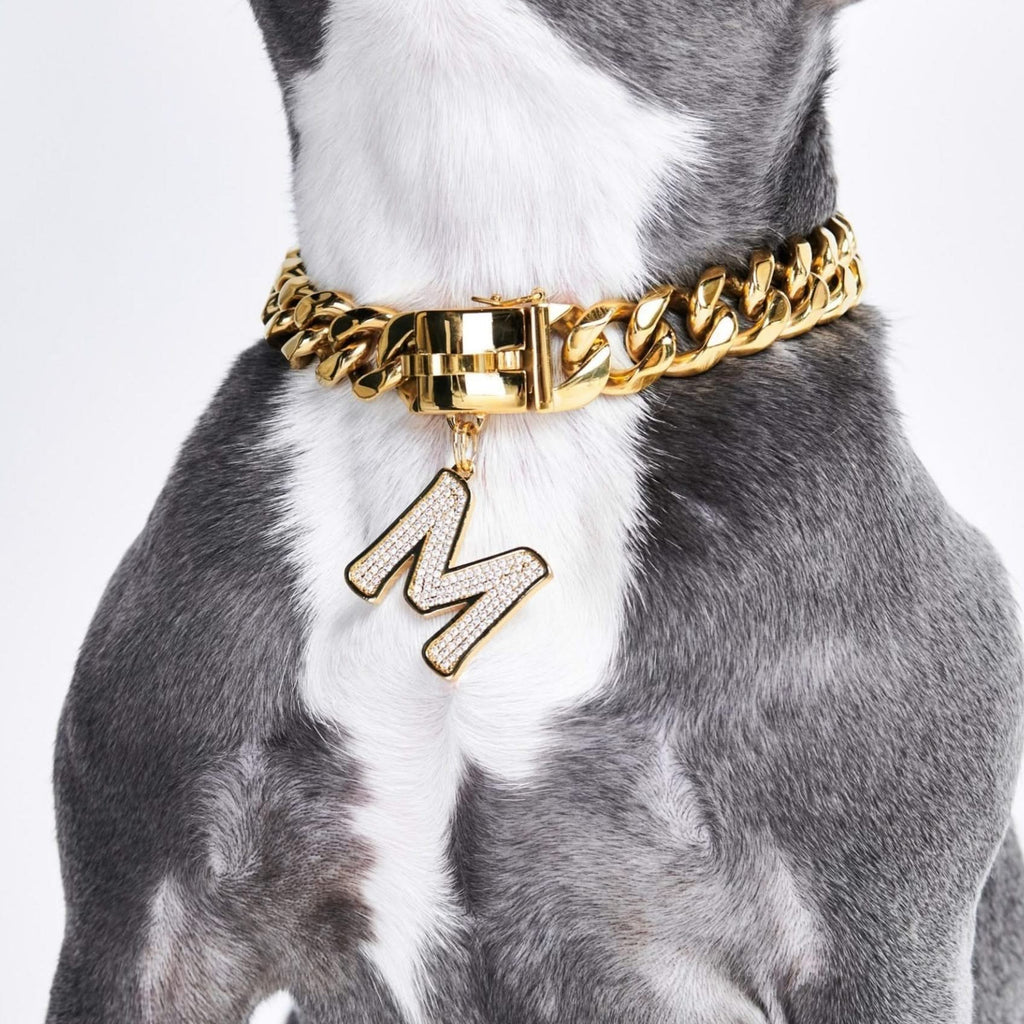 GOLD DOG ID TAG