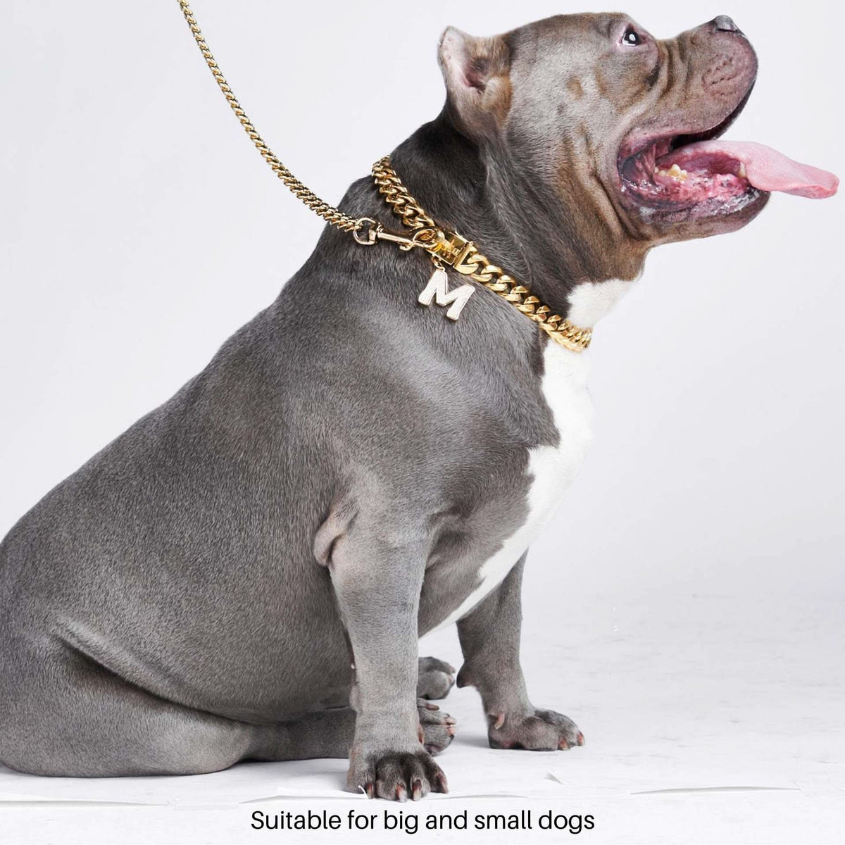 Miami Cuban Link 20mm Dog Gold Chain | Stainless Steel Thick Chain