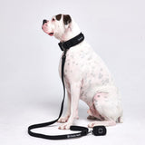 Tactical Dog Collar Set - Black (2"/5cm)