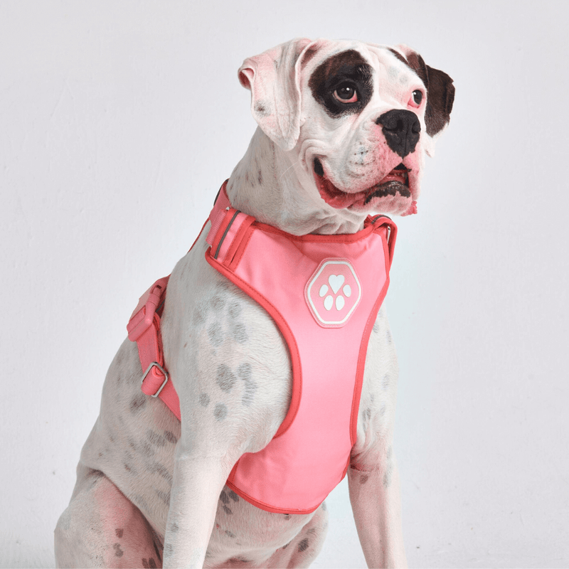 Comfort Control Harness Pink SIZE S dogs up to 20kg 45lb