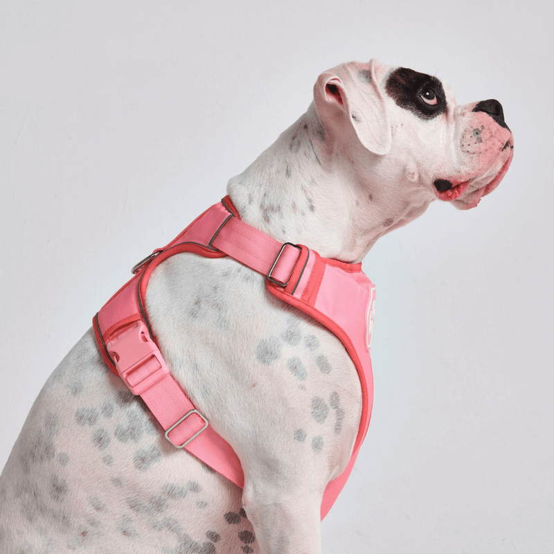 Comfort Control Harness Pink SIZE S dogs up to 20kg 45lb