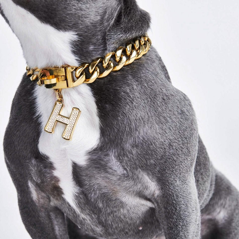 Gold Initial Letter Jewelry Tag for Dogs H – SPARK PAWS
