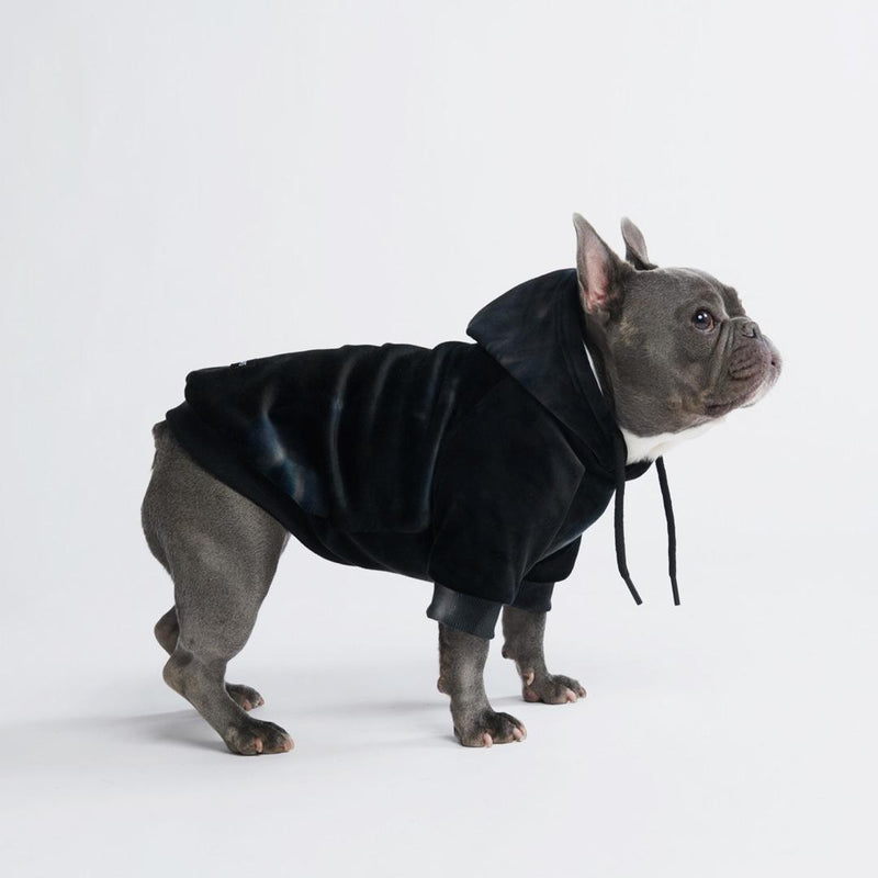 Wake Forest Dog Hoodie Coat 