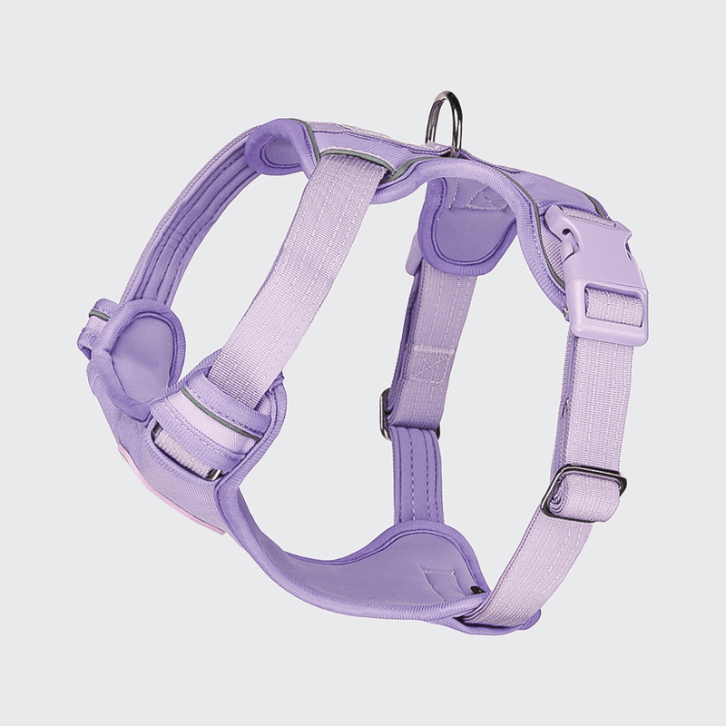 Comfort Control Harness - Lilac - [SIZE S] dogs up to 20kg/45lb