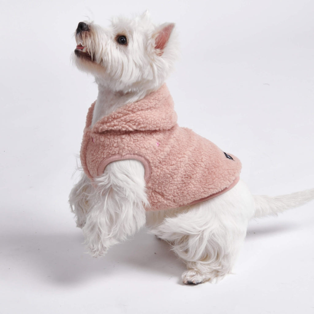 Pink dog hot sale jumpers