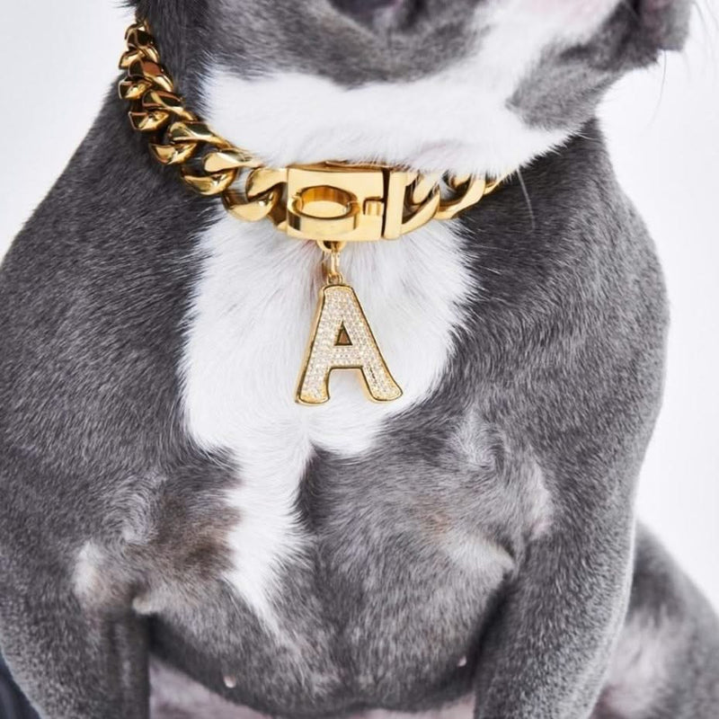 Gold Initial Letter Jewelry Tag for Dogs - R – SPARK PAWS