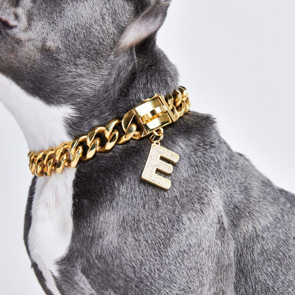 Gold Initial Letter Jewelry Tag for Dogs - R – SPARK PAWS