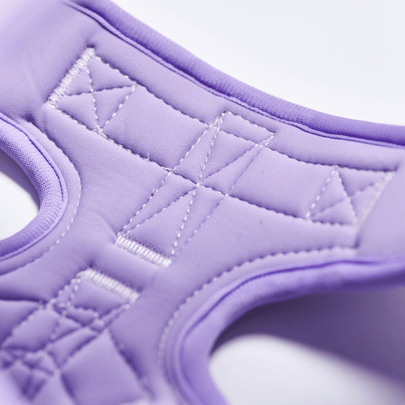 Comfort Control Harness - Lilac - [SIZE S] dogs up to 20kg/45lb