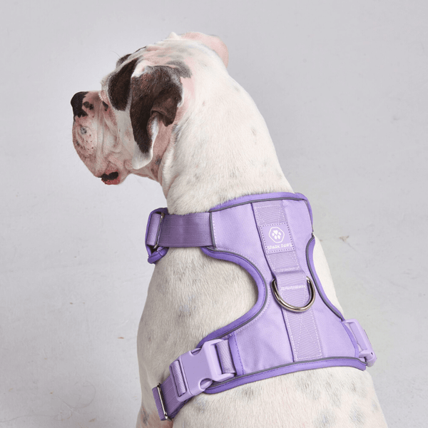 Comfort Control Harness - Lilac - [SIZE S] dogs up to 20kg/45lb