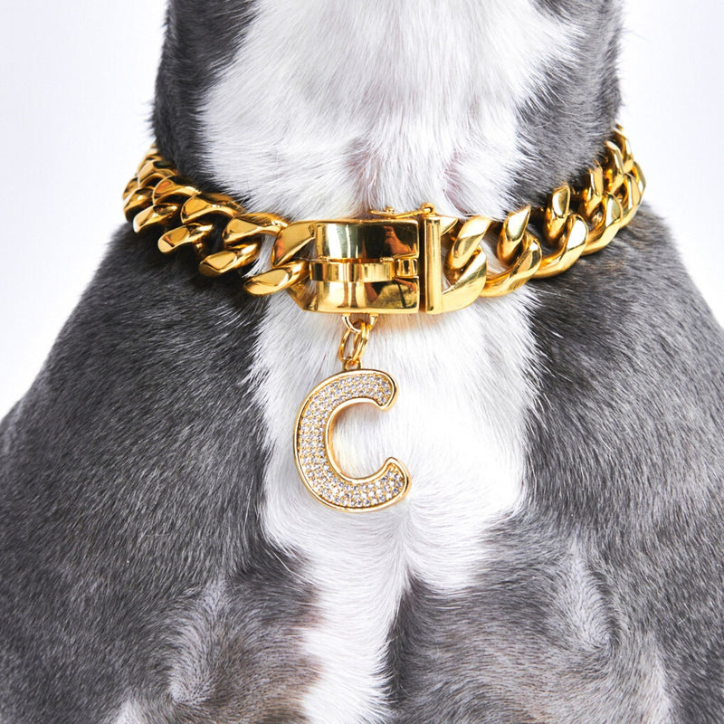 Dog Collar Letter Charms, Gold Initial Letter 'C' Jewelry Tag for Dogs