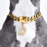 Gold initial letter pendant jewelry tag for dogs, pet ID tag for small and big dogs, bling for dogs, charms for dogs