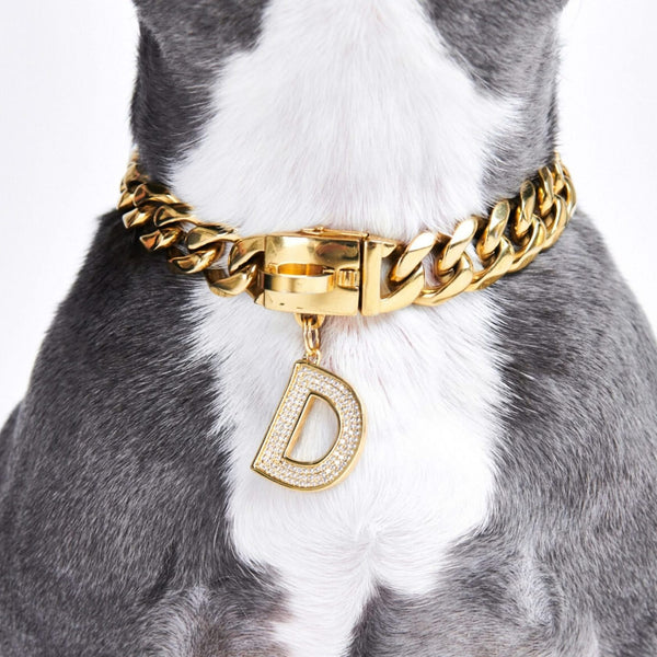 Gold Initial Letter Jewelry Tag for Dogs - R – SPARK PAWS