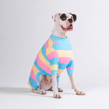 Dog Pajama - Yellow Blue Pink (SIZE S)
