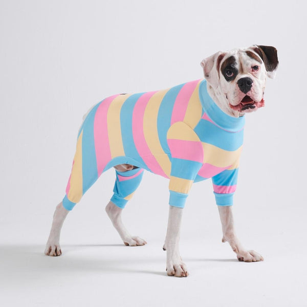 Dog Pajama - Yellow Blue Pink (SIZE S)