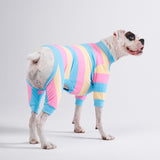 Dog Pajama - Yellow Blue Pink