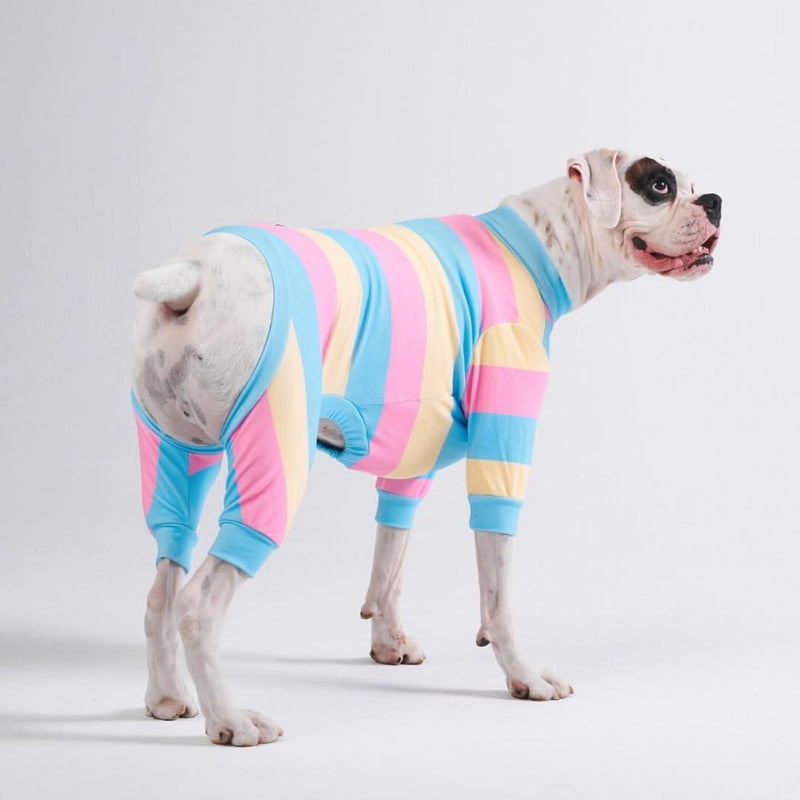 Dog Pajama - Yellow Blue Pink