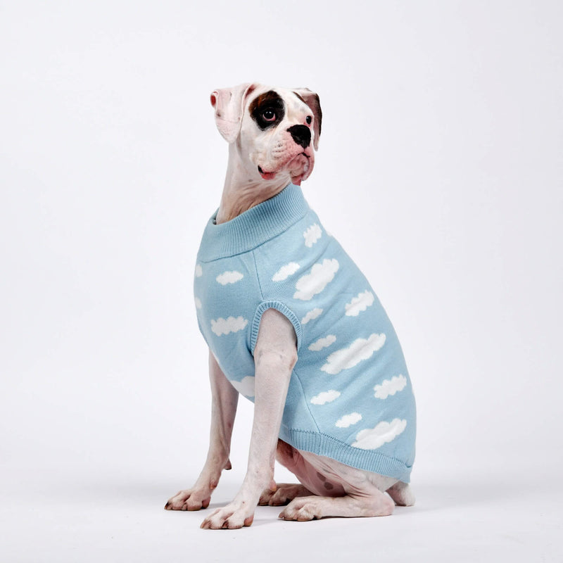 Louis Pup Cloud Dog Sweater, Paws Circle