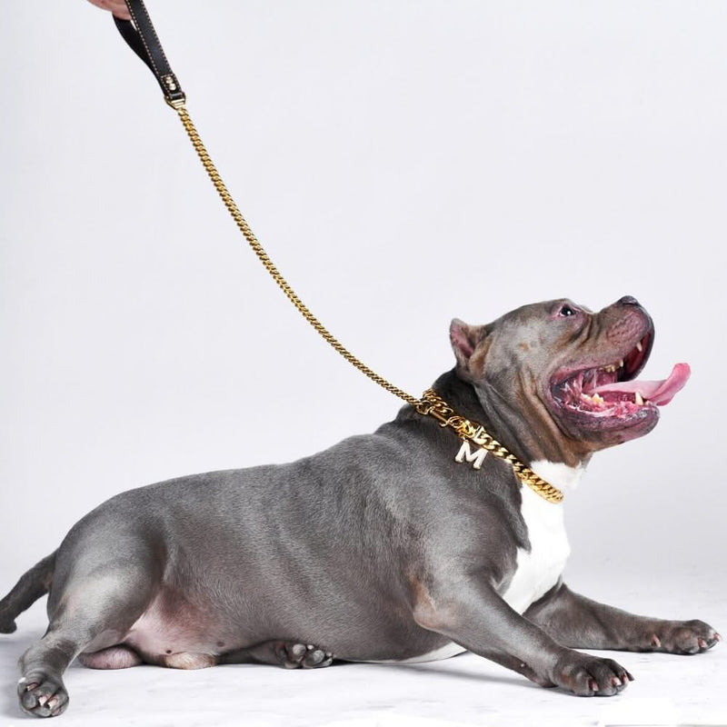 Cuban Link 18k Gold Dog Leash – SPARK PAWS