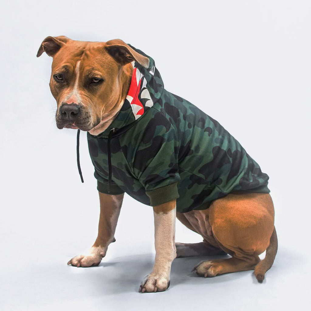 Paws camo hoodie deals