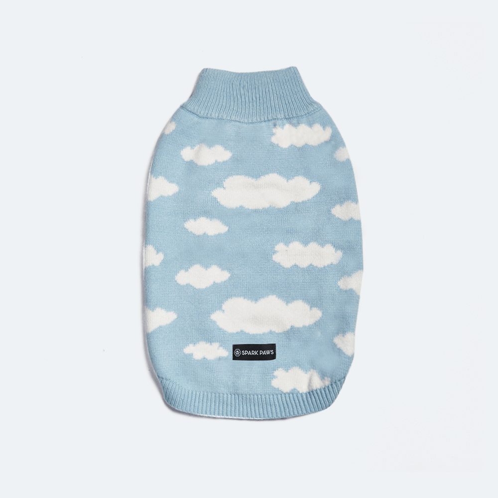 Blue Cloud Sweater